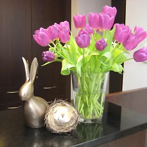 Wohlfühl-hotel Neu 4* Heidelberg